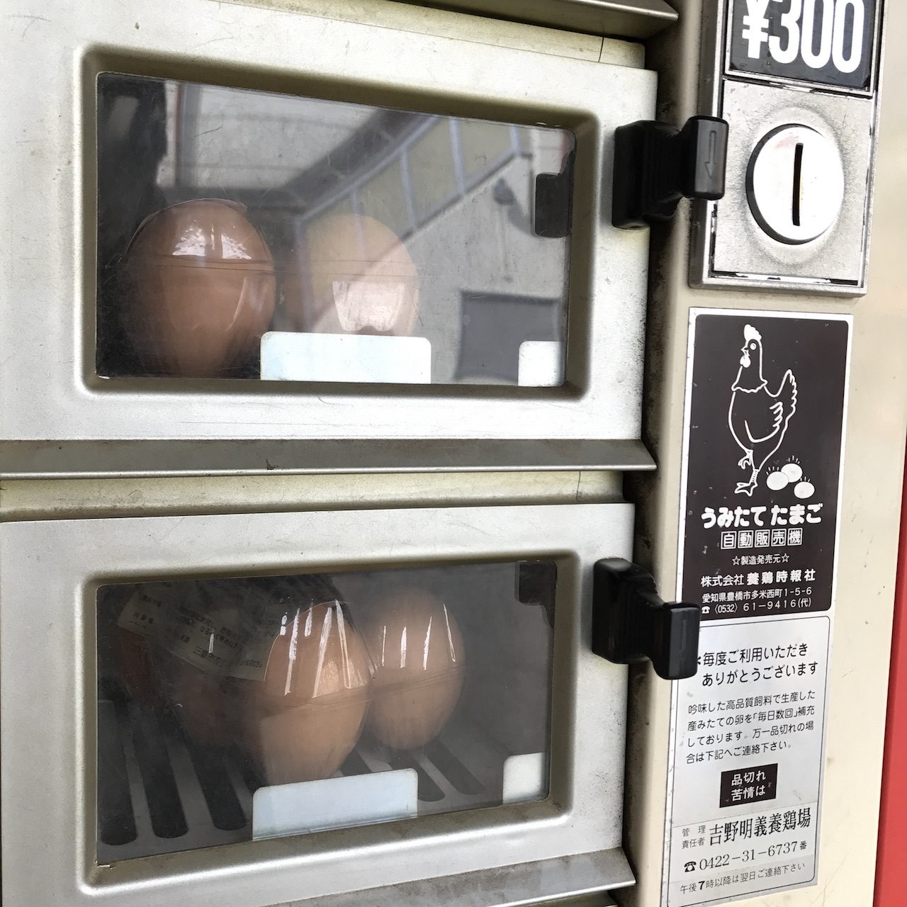 人気の平飼い卵、6個入り300円と少し高価ながら常に需要が上回る