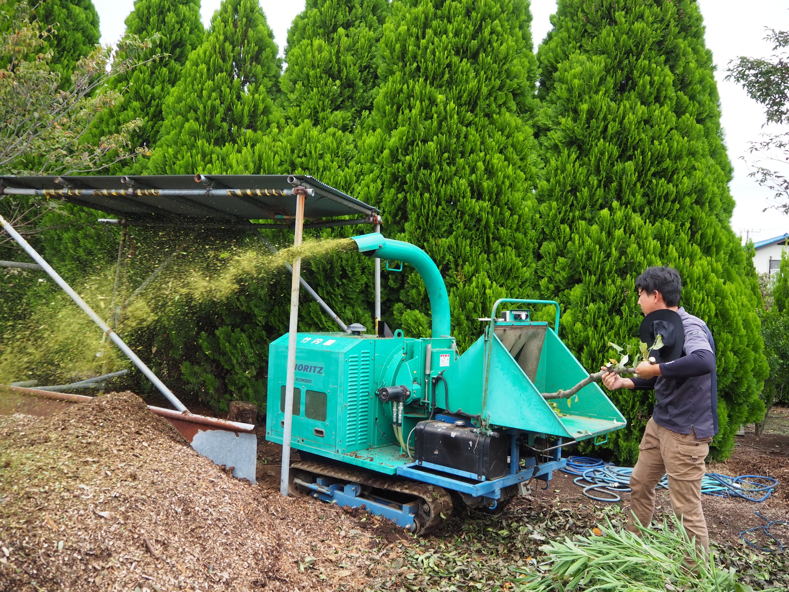 チッパー(大型粉砕機)で畑の植木を堆肥チップにしているところ。大きな音が出るので、近隣に気を遣い、タイミングを見計らって日中短時間で作業します